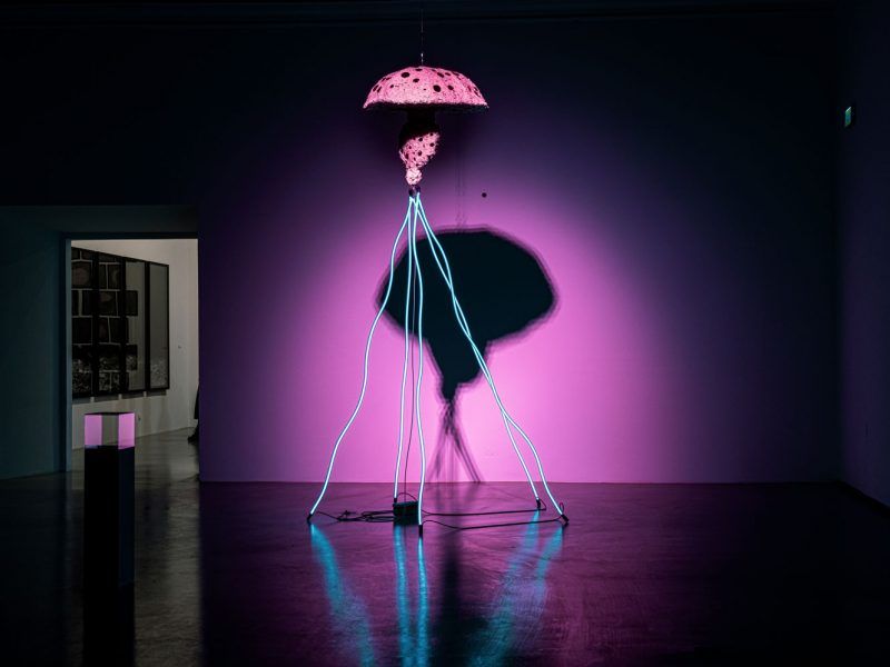 Medusa de neon centro de arte contemporáneo Ujazdowski en Varsovia